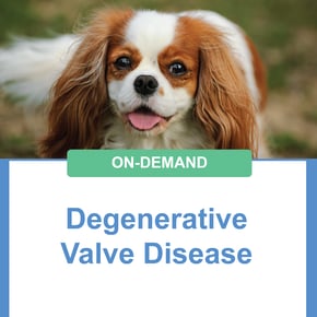 Degenerative Valve Disease  Social-03