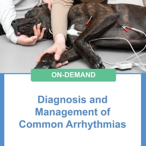 Graphics_Diagnosis and Management of Common Arrhythmias-03